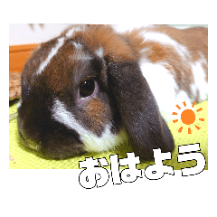 [LINEスタンプ] ゆーま公式24①