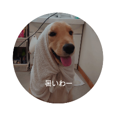 [LINEスタンプ] 我が家の愛しいケモノたち