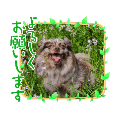 [LINEスタンプ] ユヅとナツ