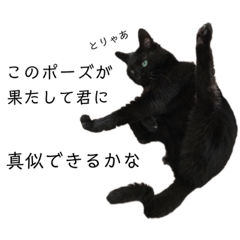 [LINEスタンプ] 黒猫のスタンプ①