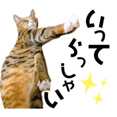 [LINEスタンプ] になはるちび Part4