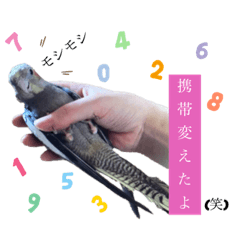 [LINEスタンプ] ザ・ピートルズ③