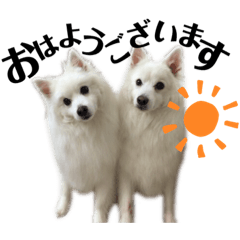 [LINEスタンプ] 日本スピッツ スタンプ