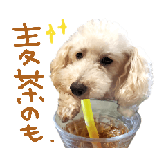 [LINEスタンプ] イラスト猫とうちの犬です！