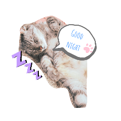 [LINEスタンプ] くぅ＆モカ