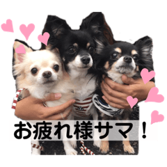 [LINEスタンプ] 我が家のS.M.K.N.B