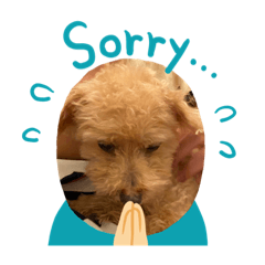 [LINEスタンプ] くうらてるかver.2