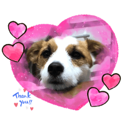 [LINEスタンプ] テンててん☆
