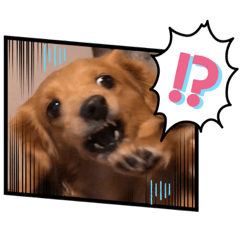 [LINEスタンプ] あんちゃこさん②