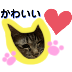[LINEスタンプ] teteco