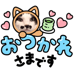 [LINEスタンプ] マリンandちょびのゆるふわスタンプ
