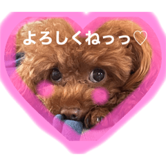 [LINEスタンプ] めたろうさん