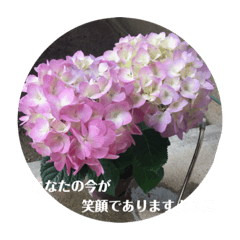 [LINEスタンプ] 笑顔の咲く花＊