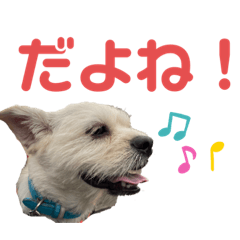 [LINEスタンプ] ペキチワぶんた4（修正前）