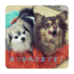 [LINEスタンプ] えだえだあぽぽ