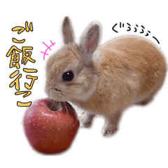 [LINEスタンプ] うさぎのてとまる。2