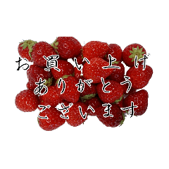 [LINEスタンプ] イチゴ農家