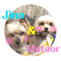 [LINEスタンプ] Jina ＆ Meteor 4 ver.2