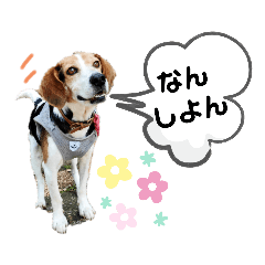 [LINEスタンプ] うしおの伊予弁①(松山・中予)