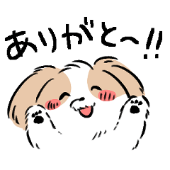 [LINEスタンプ] 日常のシーズーかわいい