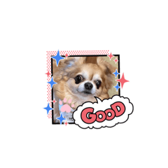 [LINEスタンプ] うちのてつです。3