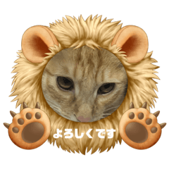 [LINEスタンプ] 茶トラのしんば