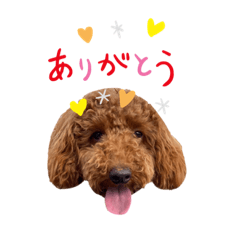 [LINEスタンプ] ABBEYだよ2