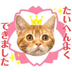 [LINEスタンプ] ただただ可愛い こうめちゃんのスタンプ♡3