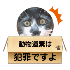 [LINEスタンプ] 紫友会 保護猫スタンプ✨