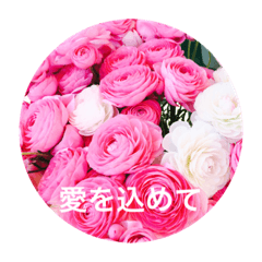 [LINEスタンプ] 可愛いお花に優しい言葉を添えて