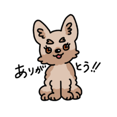 [LINEスタンプ] ヨークシャーテリアのスタンプ！