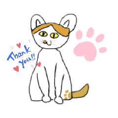 [LINEスタンプ] 地域猫きらちゃん