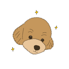 [LINEスタンプ] モカのスタンプ！！！