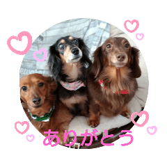 [LINEスタンプ] yumi0907