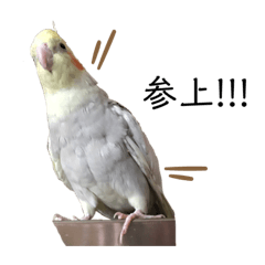[LINEスタンプ] オカメのほっぺちゃん2