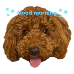 [LINEスタンプ] ABBEYだよ