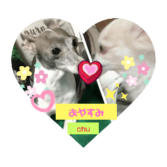 [LINEスタンプ] あむ＆くぅスタ