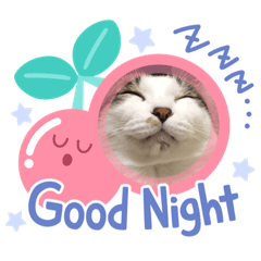 [LINEスタンプ] むた家スタンプ