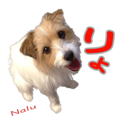 [LINEスタンプ] 関西ジャック Part3