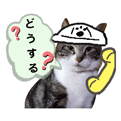 [LINEスタンプ] ぶちこと愉快な仲間達