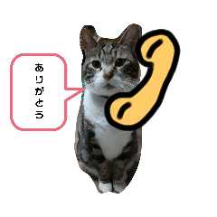[LINEスタンプ] 愉快な可愛い仲間達