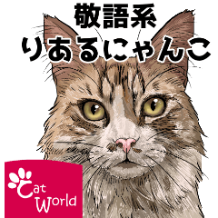 [LINEスタンプ] リアルタッチな猫のシンプル敬語スタンプ♪