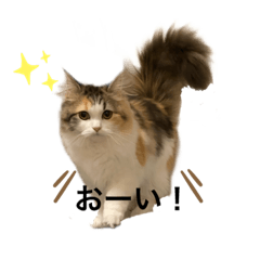 [LINEスタンプ] もこリコねこと仲間たち②
