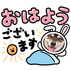 [LINEスタンプ] 柴犬モコ＆稲穂4