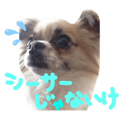 [LINEスタンプ] かおわん2