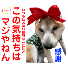 [LINEスタンプ] 赤いりぼんの可愛い仲間達⑧