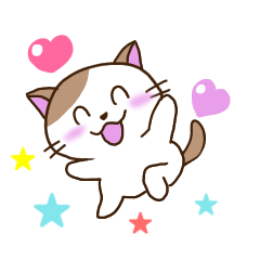 [LINEスタンプ] おすすめ♡かわいいネコ 日常会話＆敬語