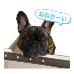 [LINEスタンプ] 僕の名前はボー