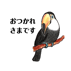 [LINEスタンプ] greening of toucan