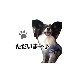 [LINEスタンプ] こけさん家